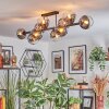 Koyoto ceiling light, globe light clear, Smoke-coloured, 10-light sources