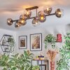 Koyoto ceiling light, globe light clear, Smoke-coloured, 10-light sources