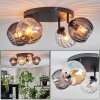 Koyoto ceiling light, globe light Amber, clear, Smoke-coloured, 4-light sources
