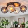 Koyoto ceiling light, globe light Amber, clear, Smoke-coloured, 4-light sources