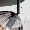 Koyoto ceiling light, globe light Amber, clear, Smoke-coloured, 4-light sources