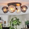 Koyoto ceiling light, globe light Amber, clear, Smoke-coloured, 4-light sources