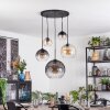 Koyoto hanging light, globe light, pendant light Amber, clear, Smoke-coloured, 5-light sources