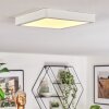Finsrud bathroom light, ceiling light, Panel LED white, 1-light source