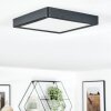 Finsrud bathroom light, ceiling light, Panel LED black, 1-light source