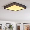 Finsrud bathroom light, ceiling light, Panel LED black, 1-light source