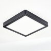 Finsrud bathroom light, ceiling light, Panel LED black, 1-light source