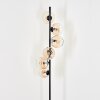 Koyoto globe light, floor lamp Amber, clear, 6-light sources