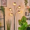 Ripoll globe light, floor lamp Amber, clear, 5-light sources