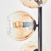 Koyoto globe light, floor lamp Amber, clear, 5-light sources