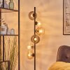 Koyoto globe light, floor lamp Amber, clear, Smoke-coloured, 6-light sources