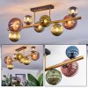 Chehalis ceiling light, globe light gold, black, 8-light sources