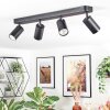 Foren ceiling light, ceiling spotlight LED black, 4-light sources, Colour changer