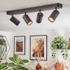 Foren ceiling light, ceiling spotlight LED black, 4-light sources, Colour changer