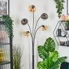 Gastor globe light, floor lamp Amber, clear, Smoke-coloured, 5-light sources