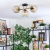 Ripoll ceiling light, globe light gold, black, 3-light sources