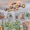 Ripoll ceiling light, globe light chrome, clear, Smoke-coloured, 10-light sources