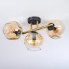 Ripoll ceiling light, globe light gold, black, 3-light sources