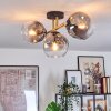 Ripoll ceiling light, globe light gold, black, 3-light sources