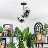 Chehalis ceiling light, globe light chrome, clear, Smoke-coloured, 4-light sources