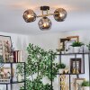 Ripoll ceiling light, globe light gold, black, 3-light sources