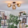 Ripoll ceiling light, globe light gold, black, 3-light sources