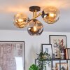 Ripoll ceiling light, globe light gold, black, 3-light sources