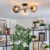 Ripoll ceiling light, globe light gold, black, 3-light sources