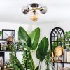 Chehalis ceiling light, globe light gold, black, 3-light sources