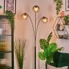 Ripoll globe light, floor lamp clear, Smoke-coloured, 3-light sources