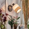 Fallhagen wall light, wall spotlight black, 1-light source