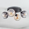 Koyoto ceiling light, globe light Amber, clear, Smoke-coloured, 4-light sources