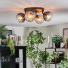 Koyoto ceiling light, globe light Amber, clear, Smoke-coloured, 4-light sources