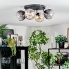Koyoto ceiling light, globe light Amber, clear, Smoke-coloured, 4-light sources