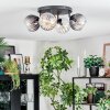 Koyoto ceiling light, globe light Amber, clear, Smoke-coloured, 4-light sources