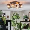 Koyoto ceiling light, globe light Amber, clear, Smoke-coloured, 4-light sources