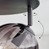 Koyoto ceiling light, globe light Amber, clear, Smoke-coloured, 4-light sources