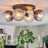 Koyoto ceiling light, globe light Amber, clear, Smoke-coloured, 4-light sources