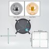 Gastor ceiling light, globe light Amber, Smoke-coloured, 4-light sources