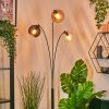 Koyoto globe light, floor lamp Amber, clear, Smoke-coloured, 3-light sources
