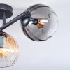 Koyoto ceiling light, globe light Amber, clear, Smoke-coloured, 3-light sources