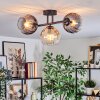 Koyoto ceiling light, globe light Amber, clear, Smoke-coloured, 3-light sources