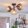 Koyoto ceiling light, globe light Amber, clear, Smoke-coloured, 3-light sources