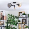 Koyoto ceiling light, globe light Amber, clear, Smoke-coloured, 3-light sources