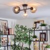 Koyoto ceiling light, globe light Amber, clear, Smoke-coloured, 3-light sources