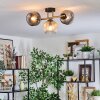 Ripoll ceiling light, globe light gold, black, 3-light sources