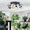Gastor ceiling light, globe light Amber, clear, Smoke-coloured, 4-light sources