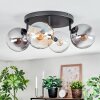 Gastor ceiling light, globe light Amber, clear, Smoke-coloured, 4-light sources