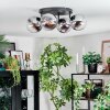 Gastor ceiling light, globe light chrome, clear, Smoke-coloured, 4-light sources