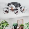 Gastor ceiling light, globe light chrome, clear, Smoke-coloured, 4-light sources